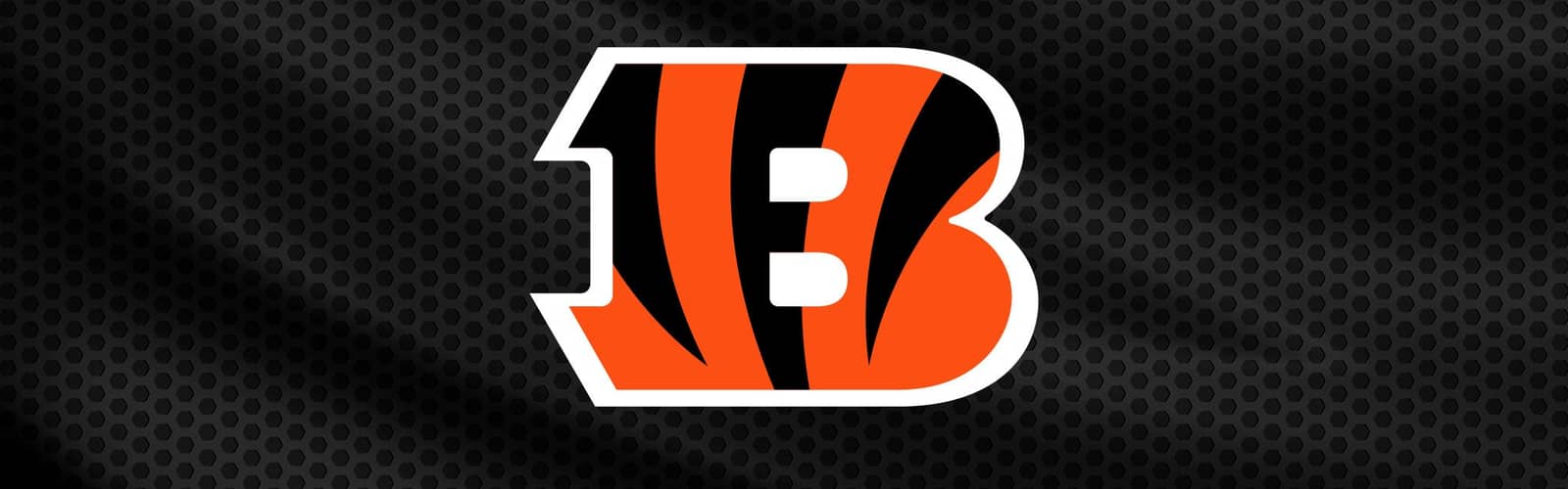 Cincinnati Bengals Training Camp