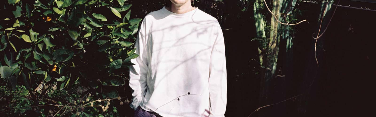 gnash
