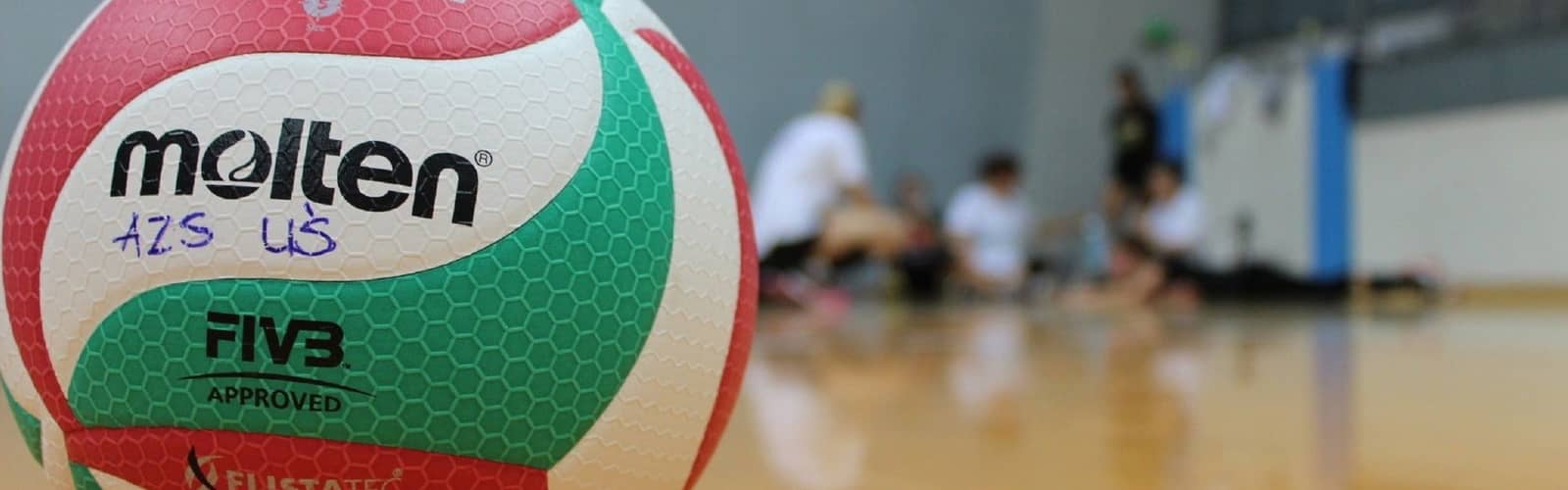 North Carolina State Wolfpack Womens Volleyball vs. Boston College Eagles Womens Volleyball