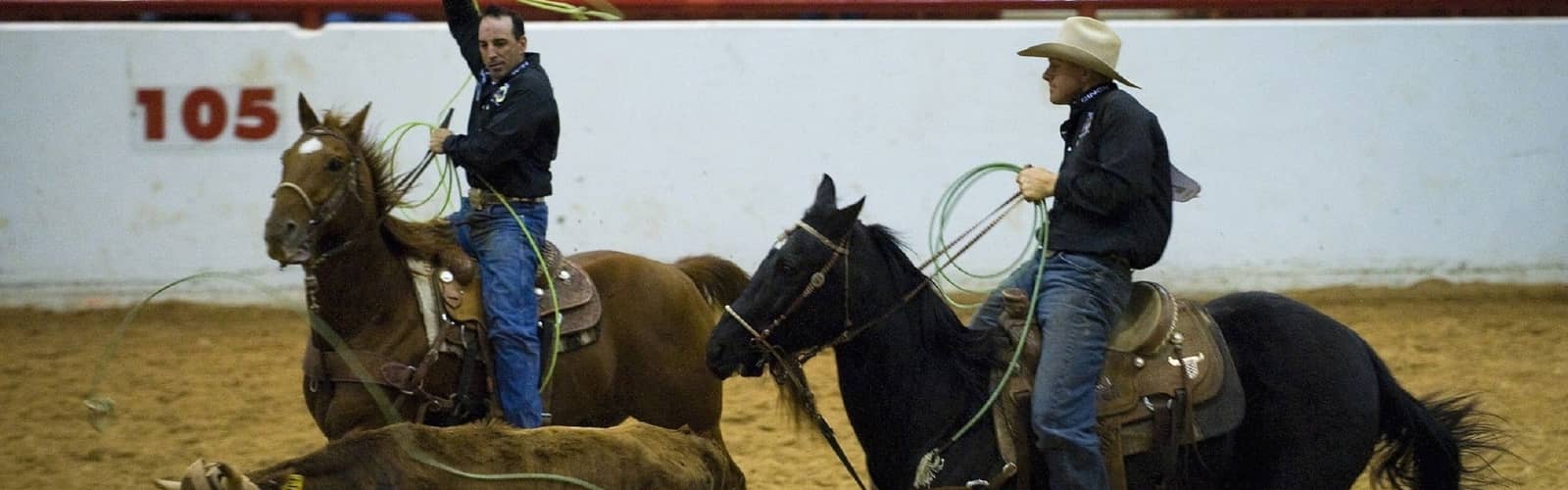 Professional Rodeo