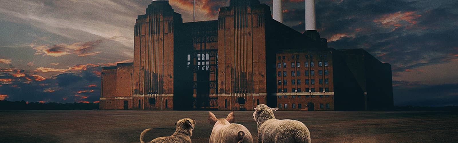 BRIT FLOYD - ANIMALS 50