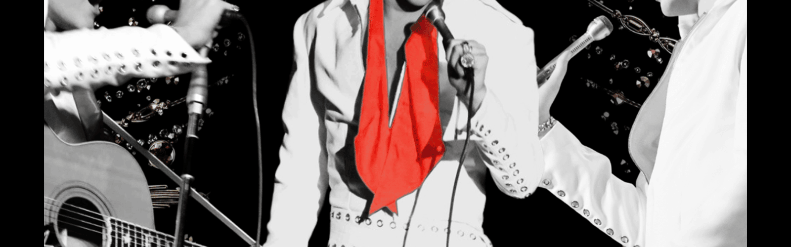 ELVIS: In Person - Starring Matt Stone