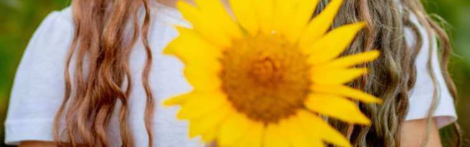 Tennessee Sunflower Festival