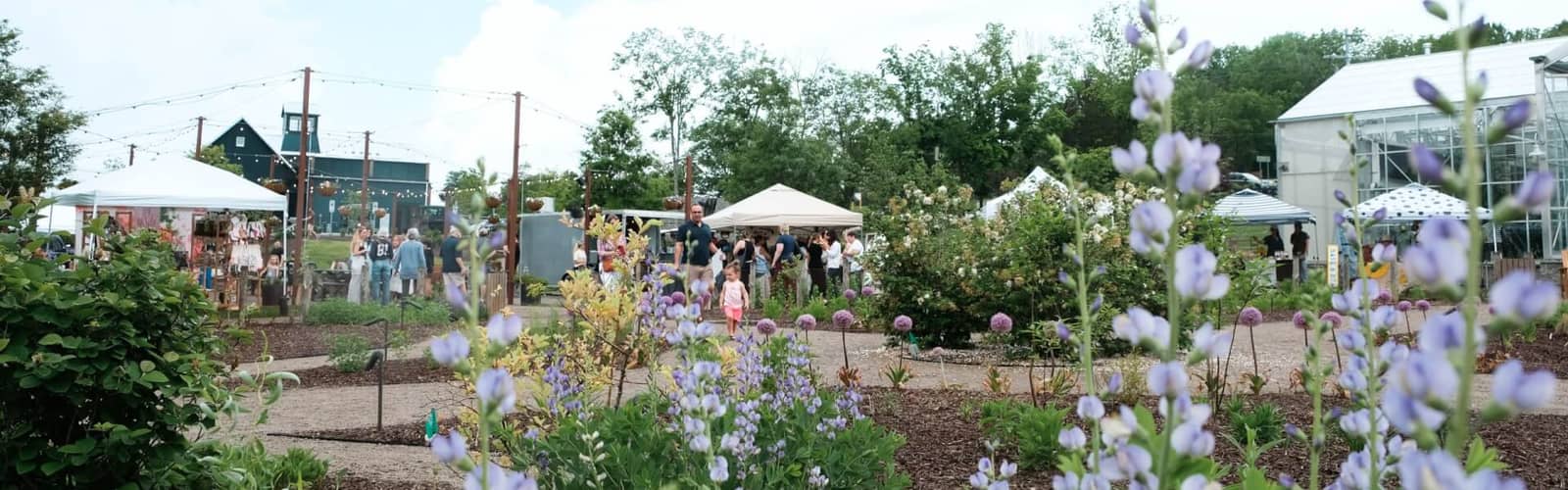 Field & Folk – Seasonal Market Series