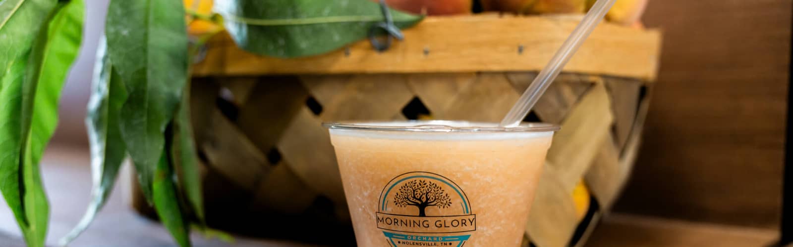 Taste & Tour the Orchard