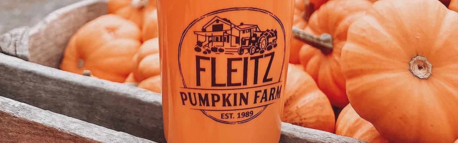 Pumpkin Picking at Fleitz Pumpkin Farm