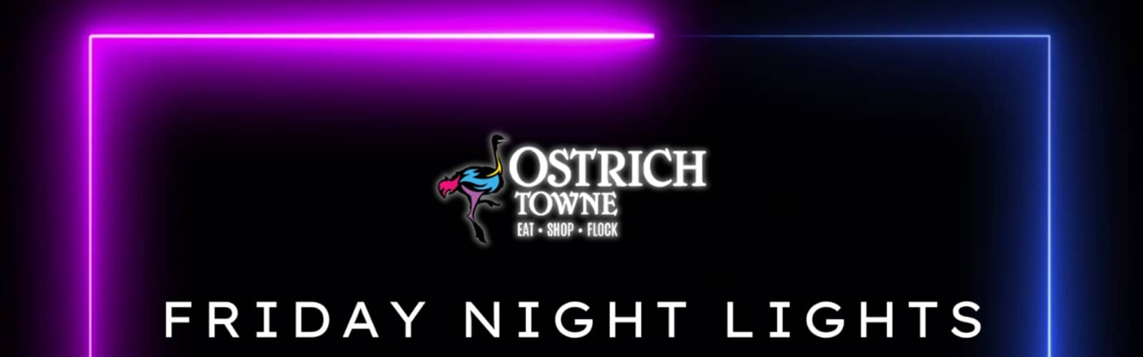 Friday Night Lights in Ostrich Alley