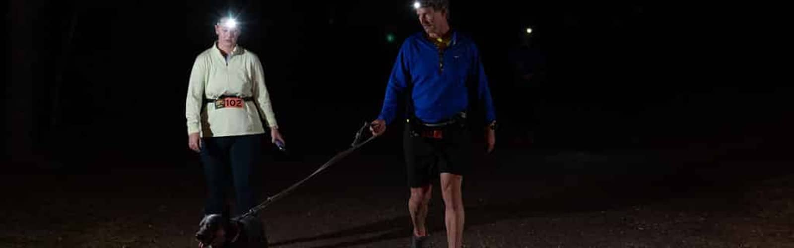 Guided Night Hike