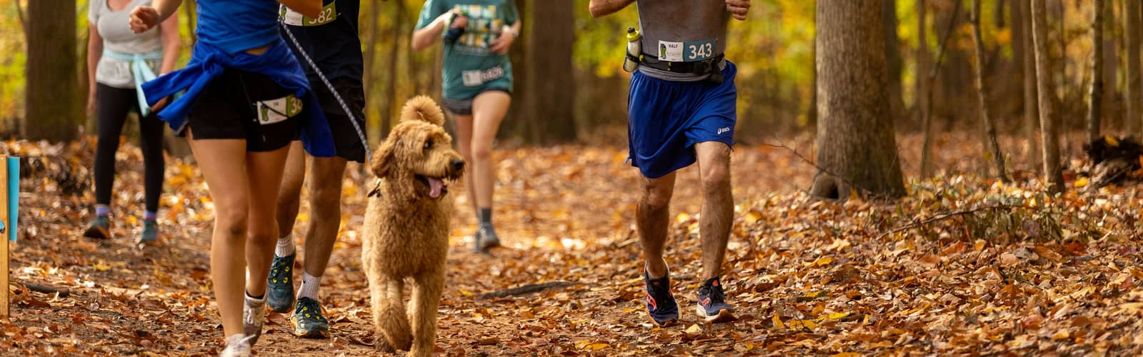 Springmaid Trail Race
