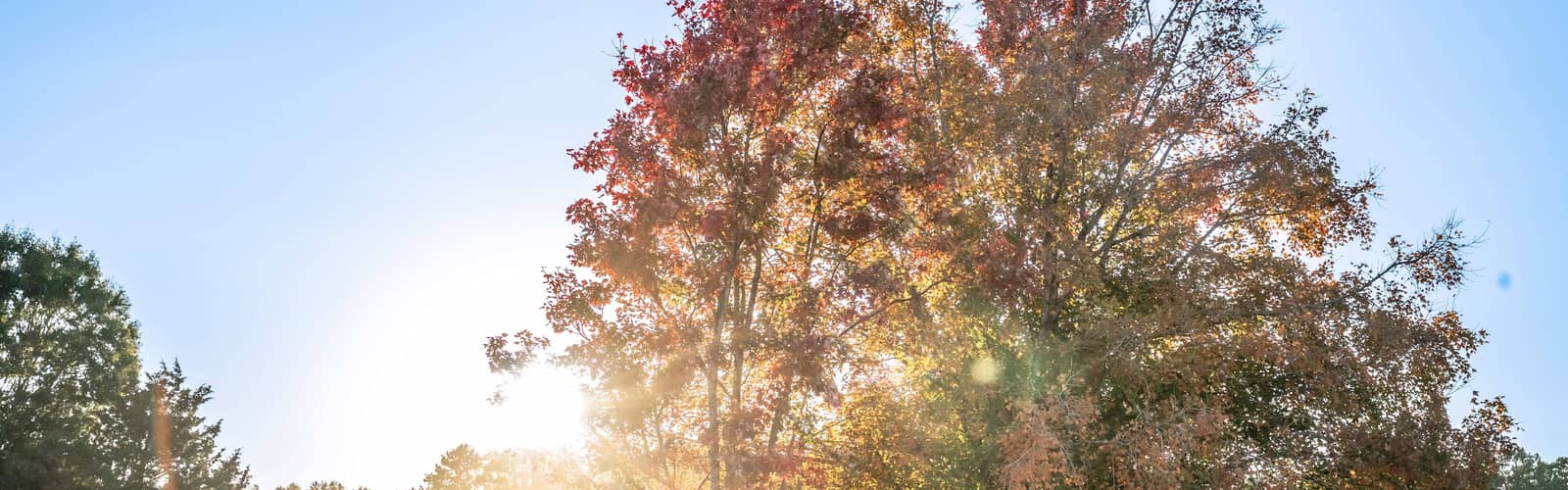 Fall Artisan Market