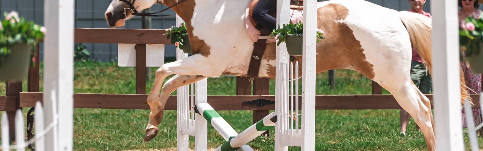 Fall Horse Show