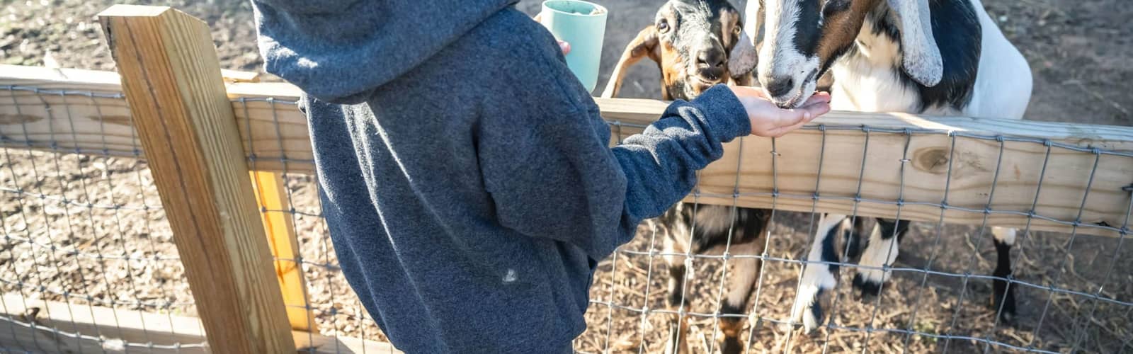 Fall Break Camp at the Children’s Farm