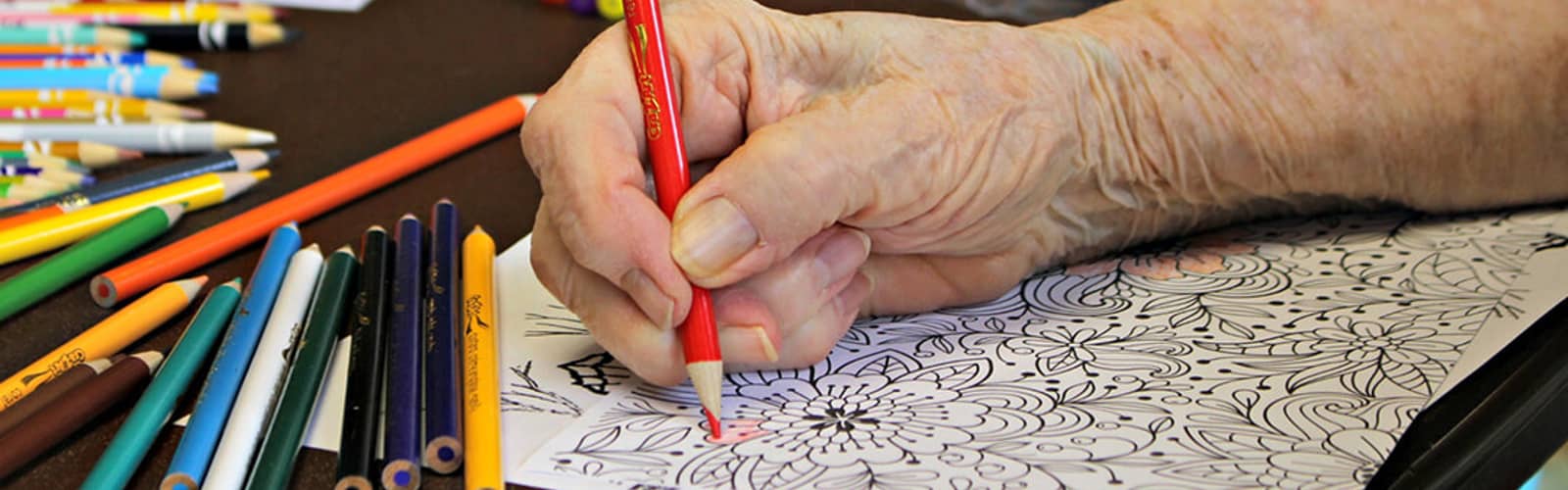 Library Lounge: Coloring and Drawing
