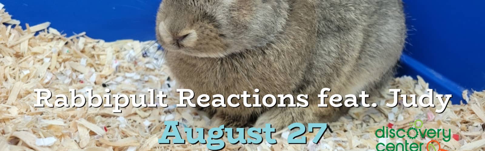 Creature Connection: Rabbipult Reactions