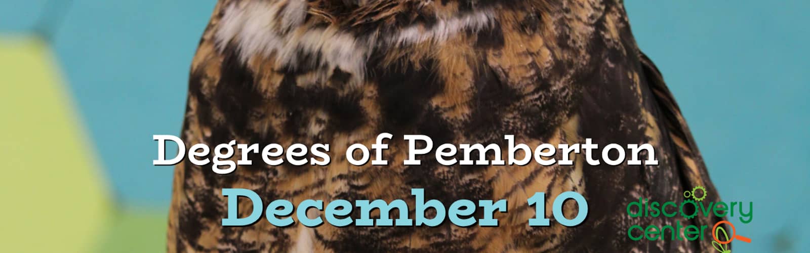 Creature Connection: Degrees of Pemberton