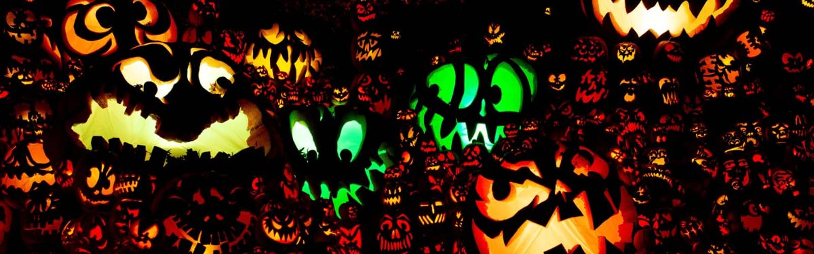 Jack O'Lantern Spectacular Experience