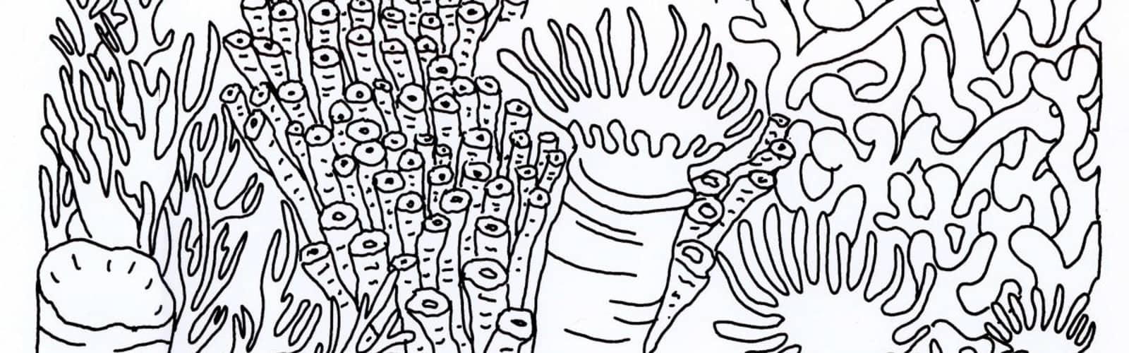 Junior Paleontologist Program