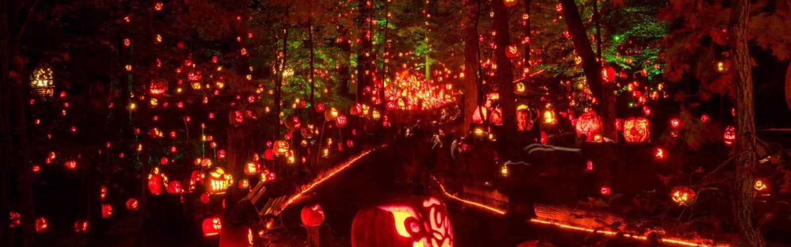 Jack's Lantern Trail Experience