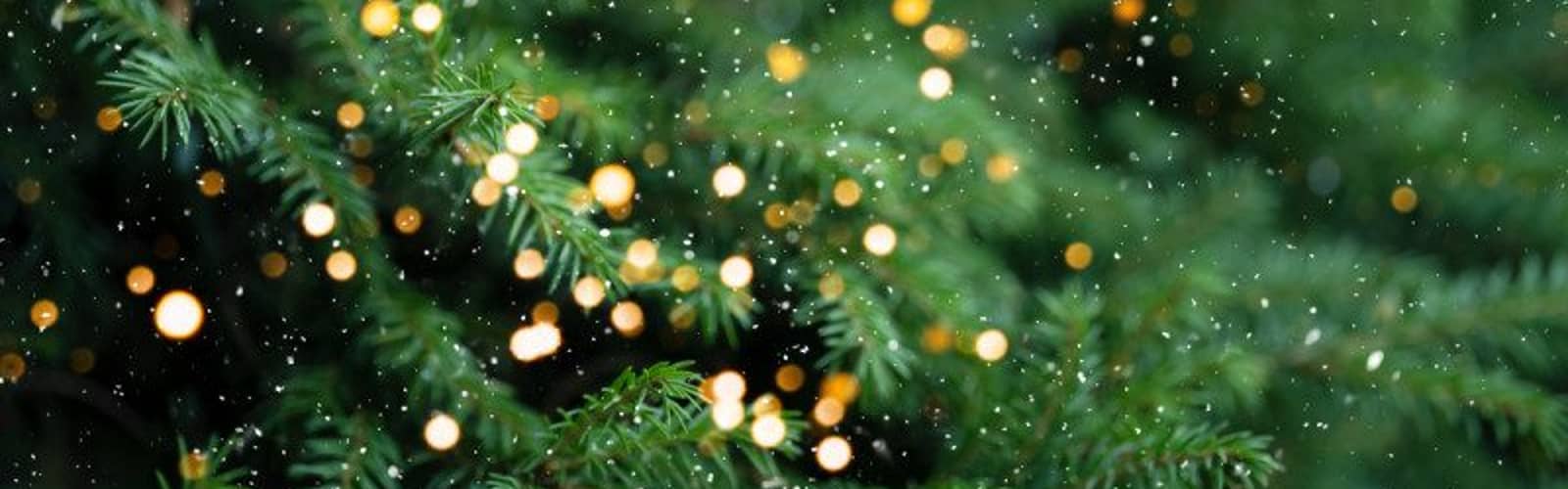 Festival of Trees & Lights