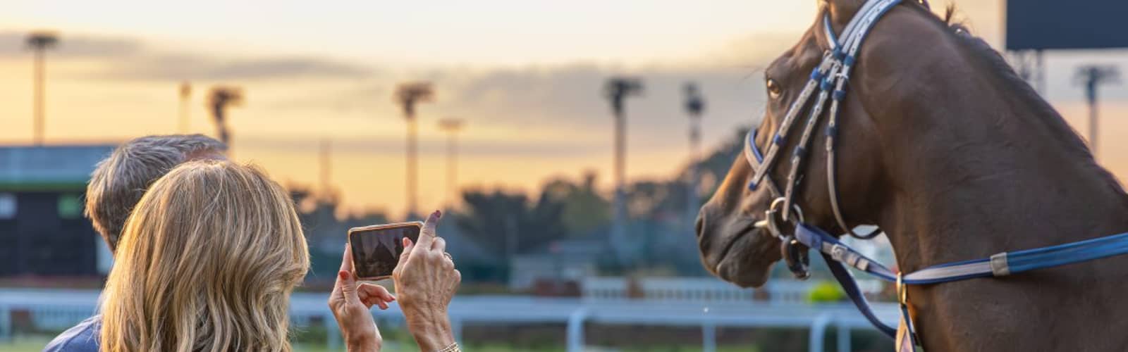Thoroughbred Workout Tour