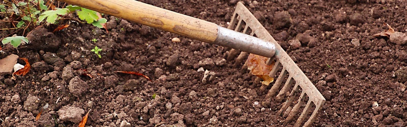 Building Healthy Soil
