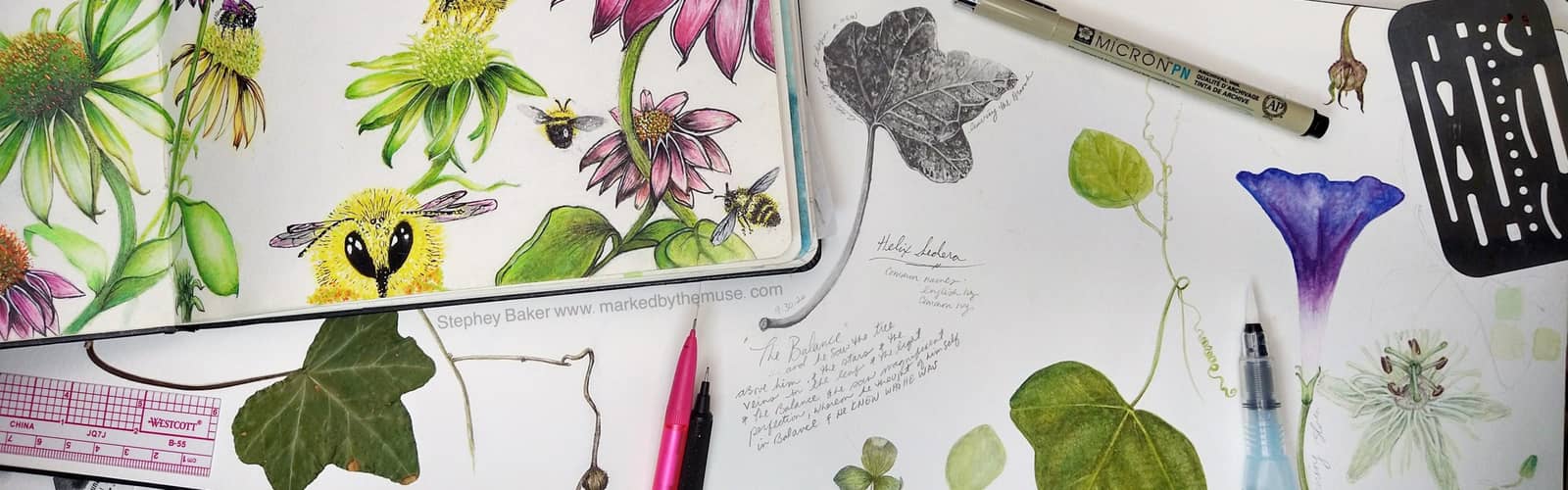Introduction to Nature Journaling Fall