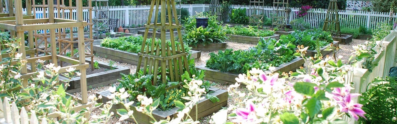 Fall in the Kitchen Garden