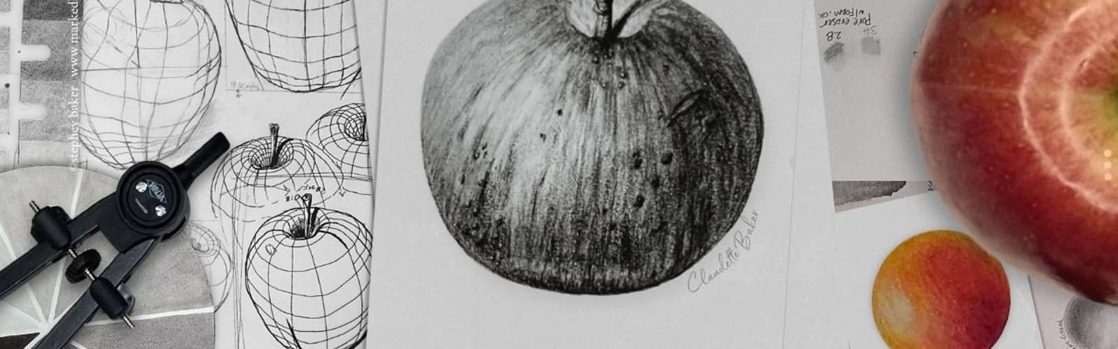 Introduction to Botanical Drawing III