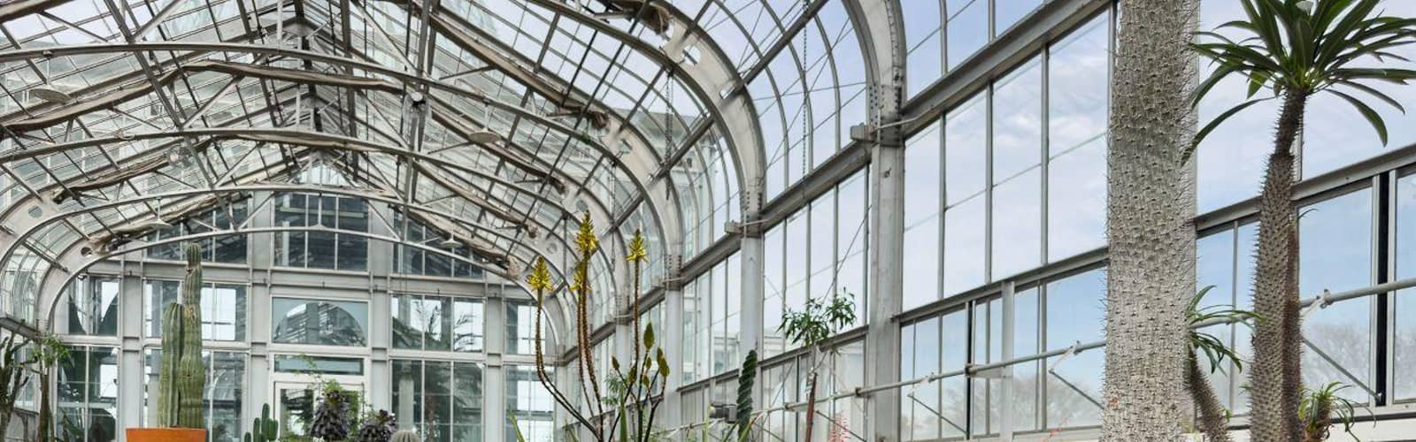WORLDS UNDER GLASS: DESERT TO RAINFOREST TOUR: NOVEMBER 10