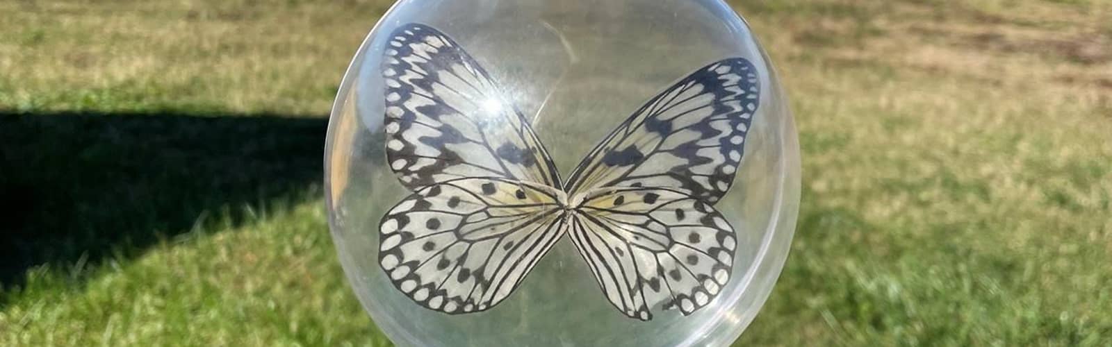 DIY Floating Butterfly Ornaments