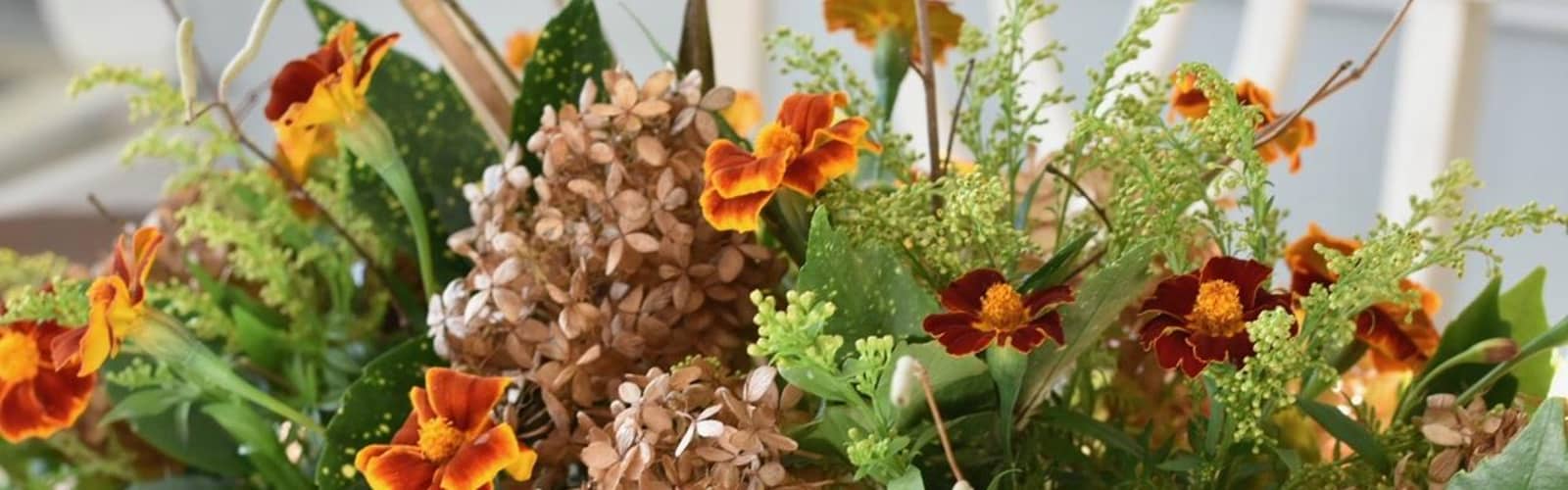 Seasonal Remix: Fresh Meets Dried