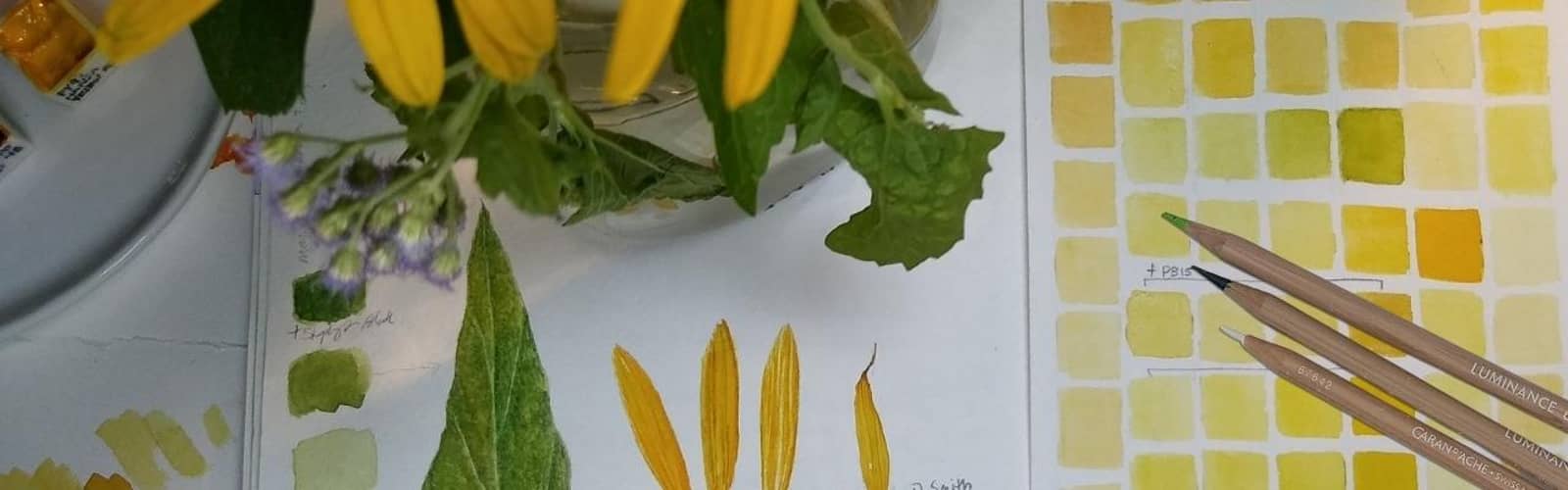 Botanical Drawing: Mixed Media Explorations