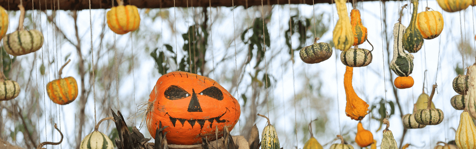 Scarecrow Making for the Modern Garden