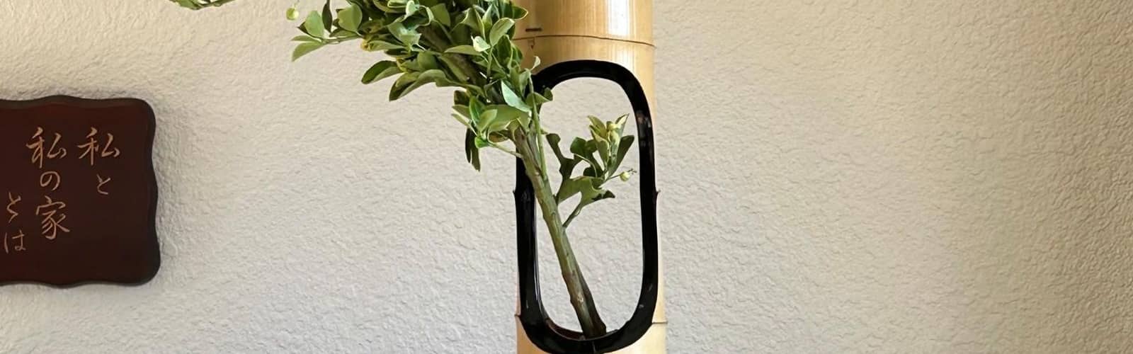 Beginner Koryu Ikebana