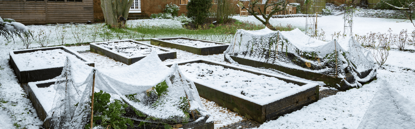 Prepping Your Fall and Winter Vegetable Garden