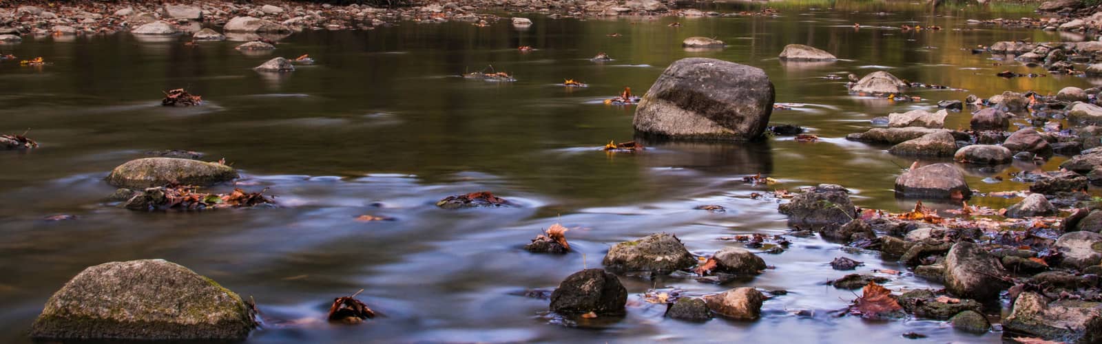 Darby Creek Day