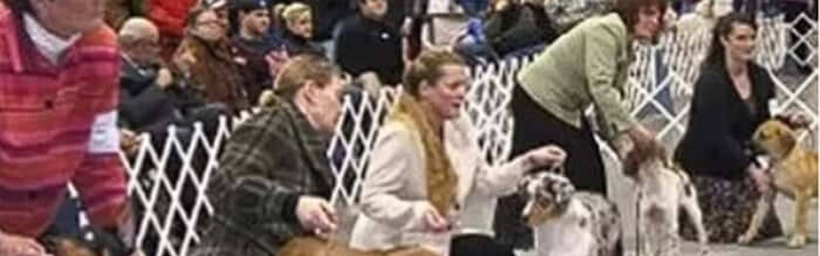 Fall Harvest Cluster Dog Show