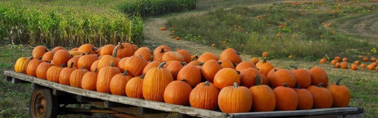 Cedarburg Creek Farm’s Haunted Hayride