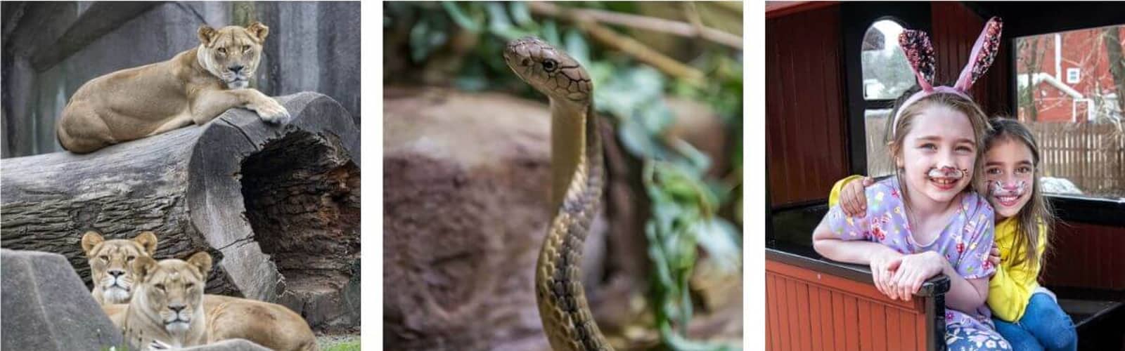 Milwaukee Zoo Family Free Day
