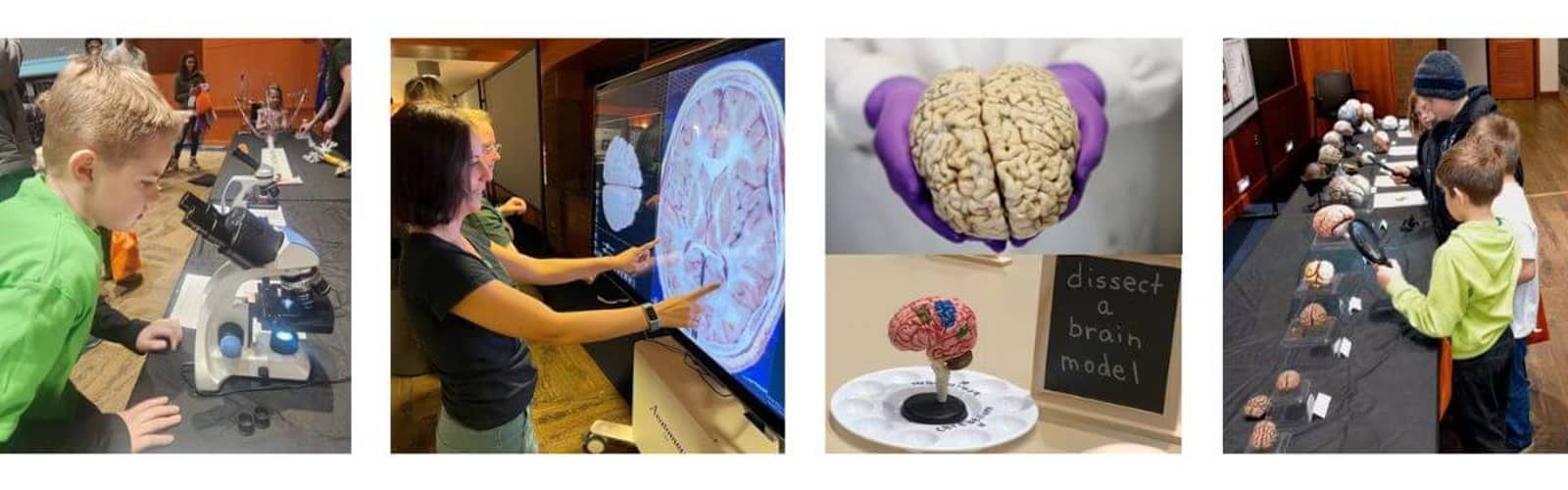 MKE BrainExpo Neuroscience Festival at The MCW Alumni Center