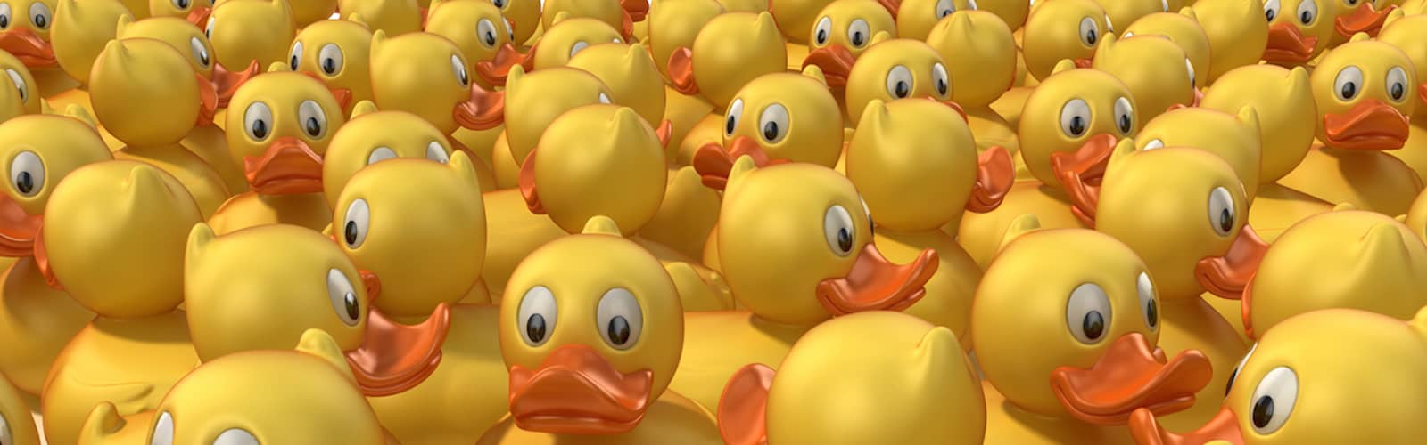 Kids Fest and Duck Race