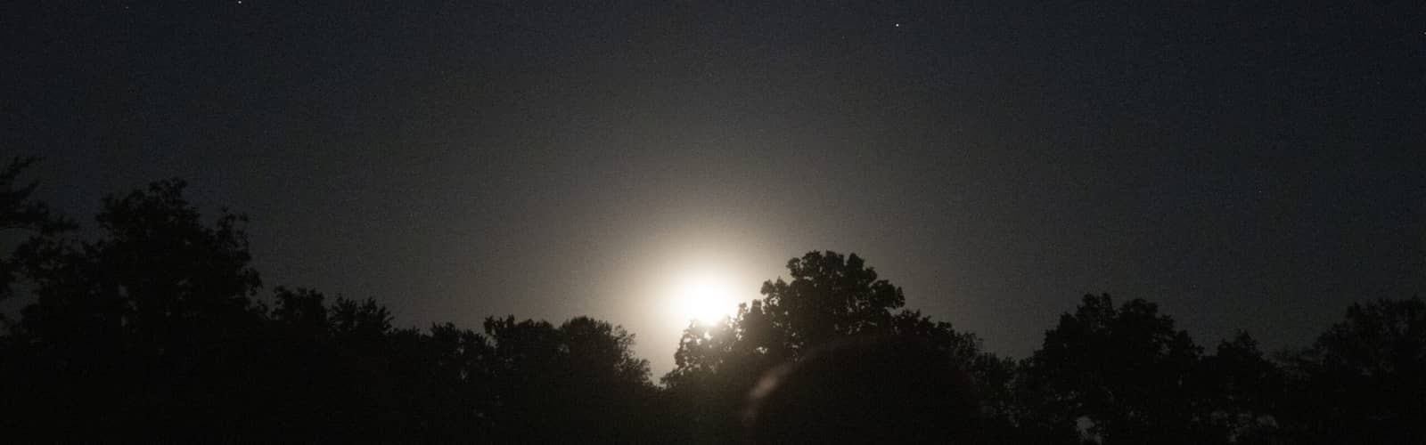 Night Hike