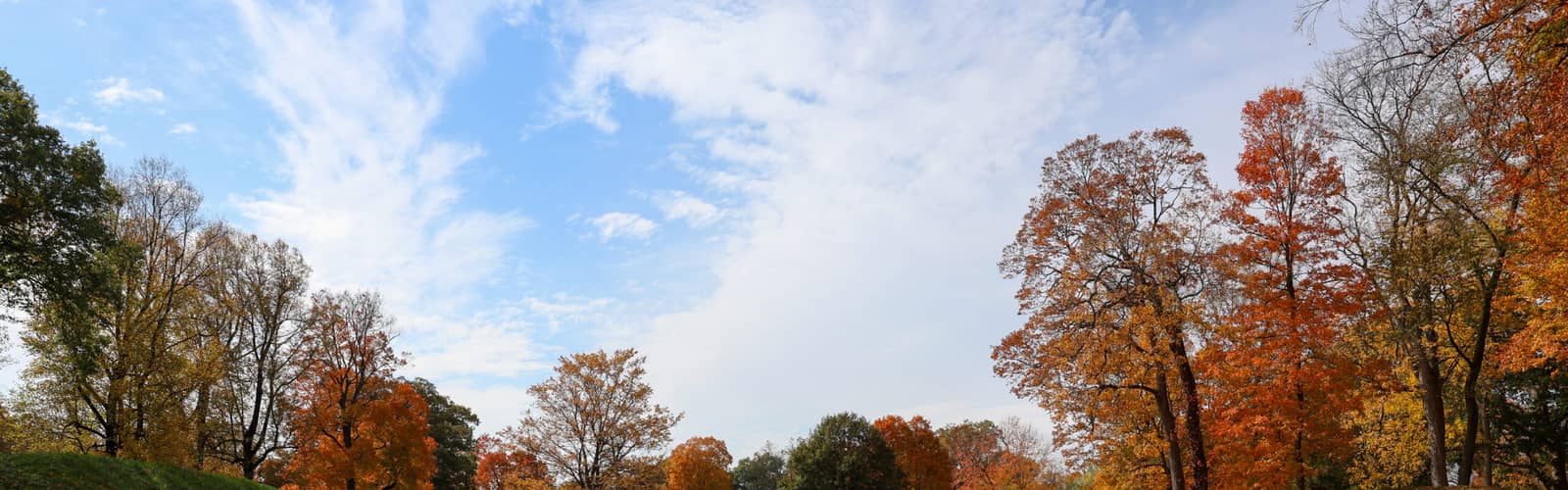 Tour of the Great Circle Earthworks with Dr. Brad Lepper