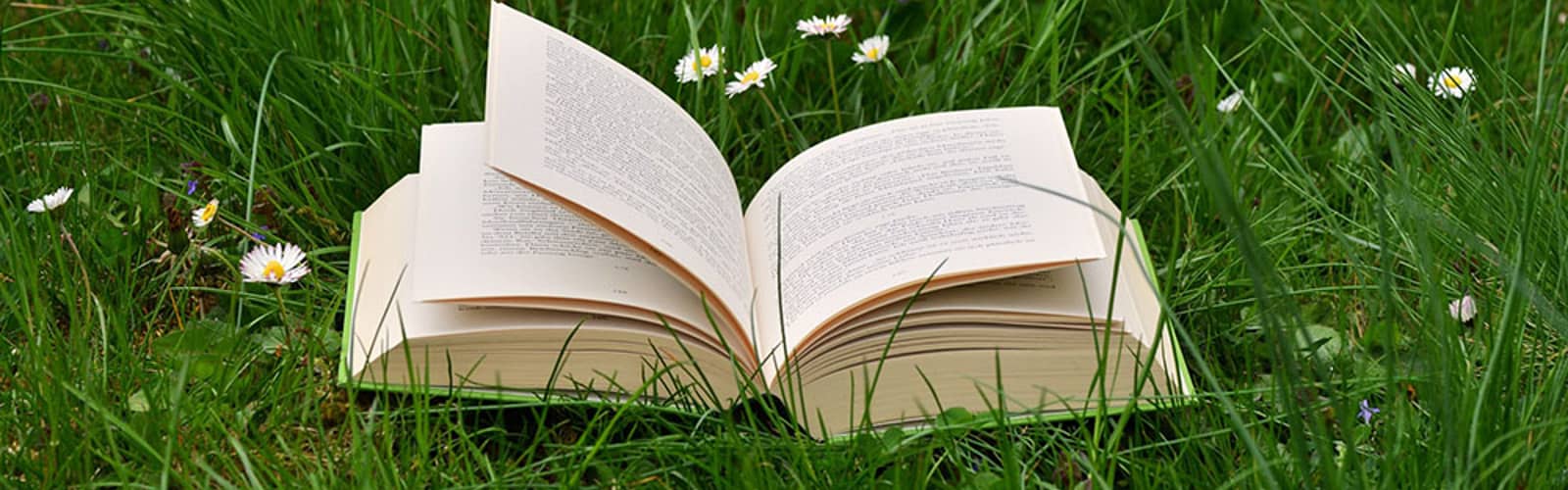 Virtual Book Club: Never Home Alone
