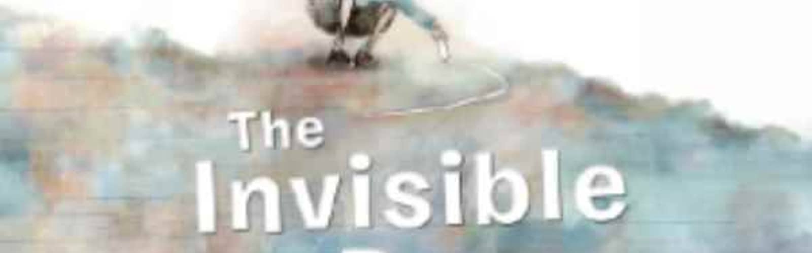 The Invisible Boy