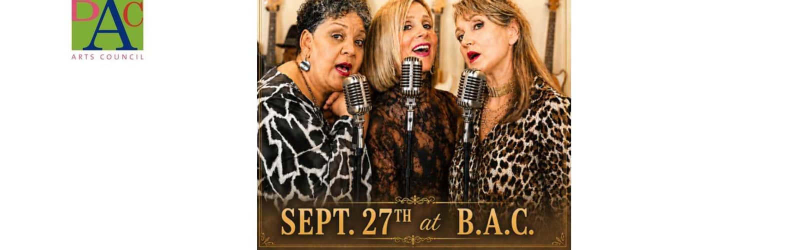 Beachwood Arts Council Presents 3 Birds and The Wire Concert
