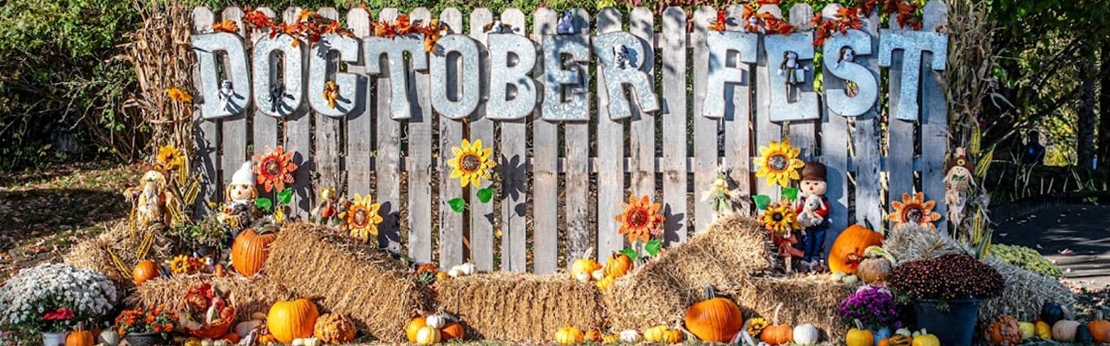 32nd Annual Dogtober Fest
