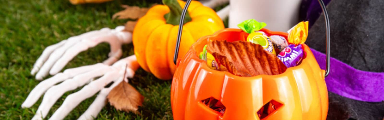 Trick or Treat at Traders World Flea Market