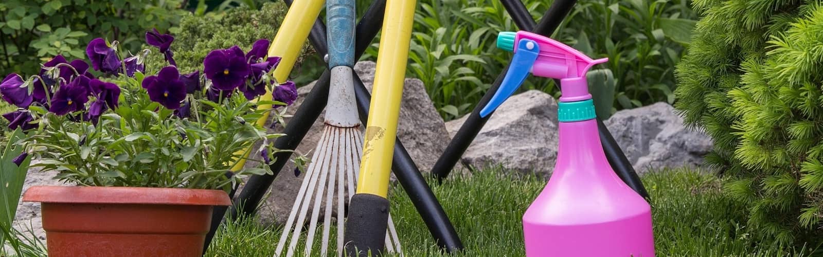 Master Gardeners: Start Your Fall Garden
