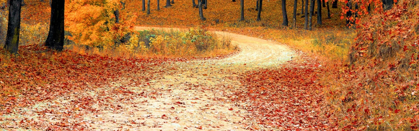 Fall Frenzy at Adventure Point